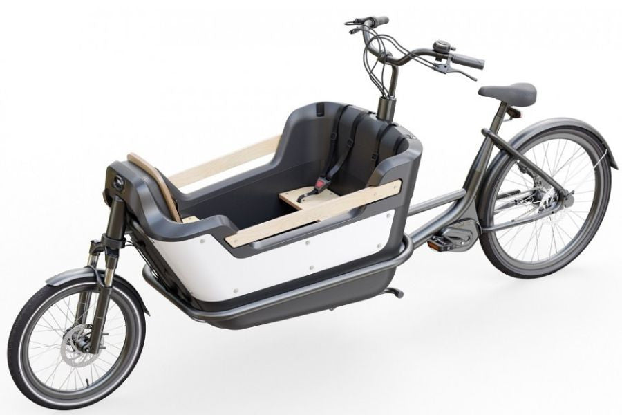 Premium Cargo Bike (25 km/h)