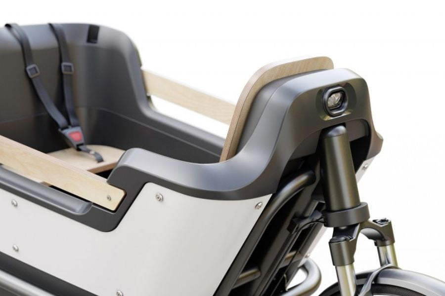 Premium Cargo Bike (25 km/h)