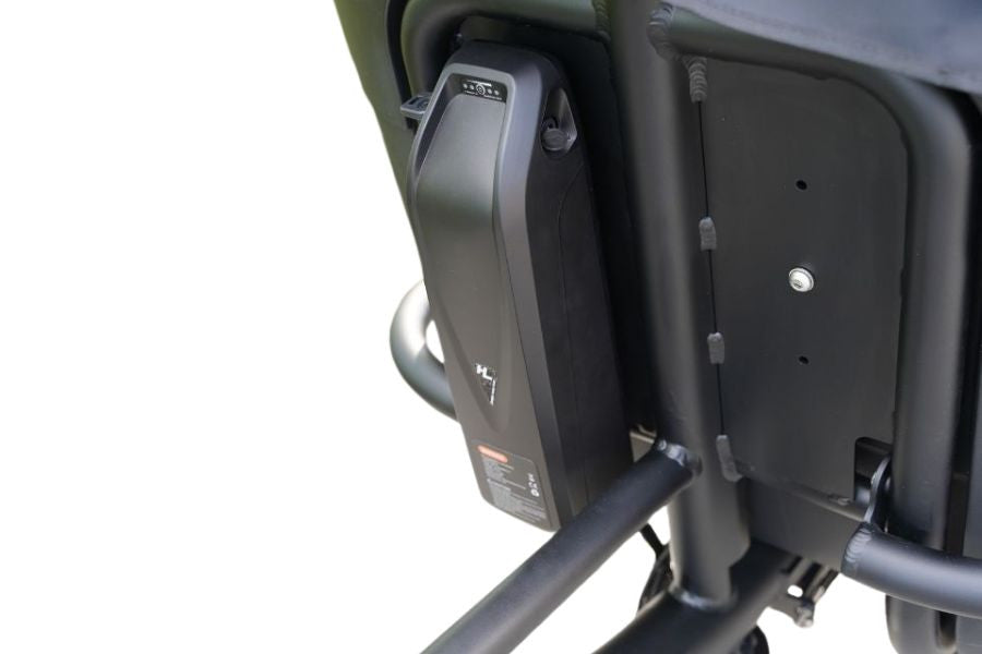 Premium Cargo Bike (25 km/h)