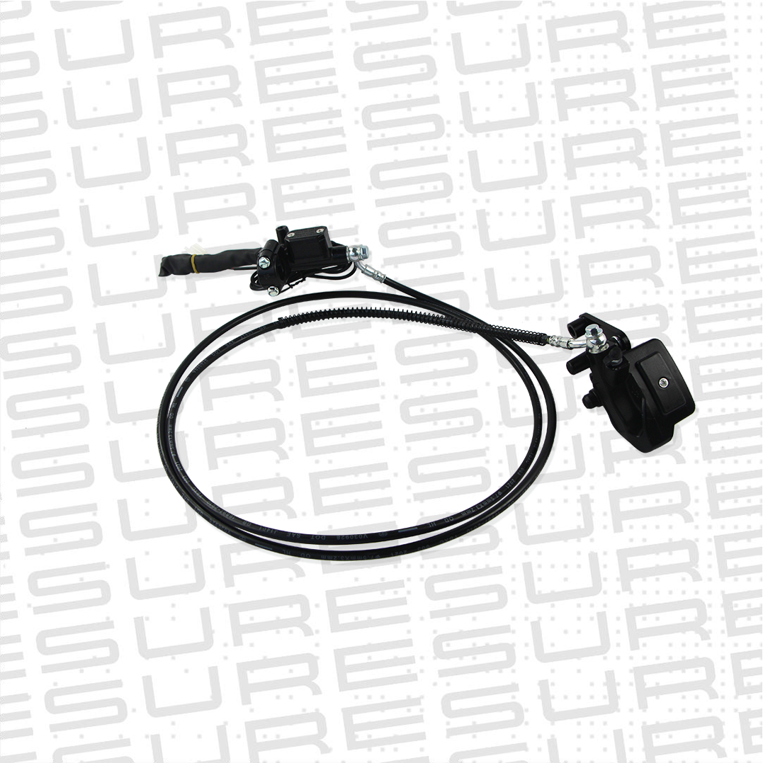 Complete Rear Brake Set (L)