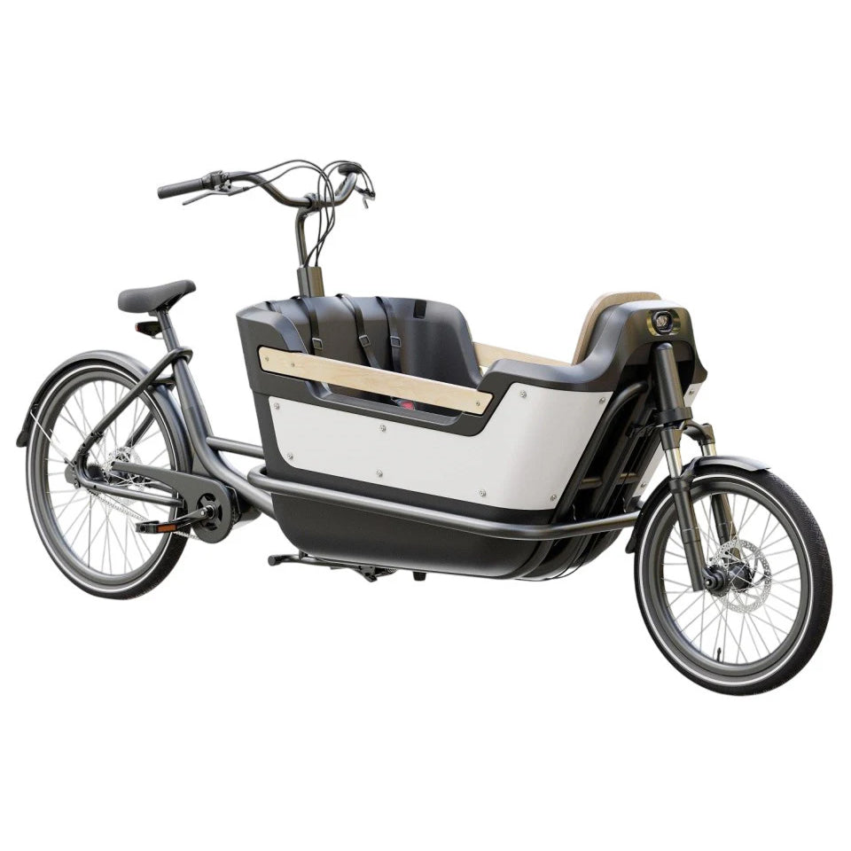 Premium Cargo Bike (25 km/h)