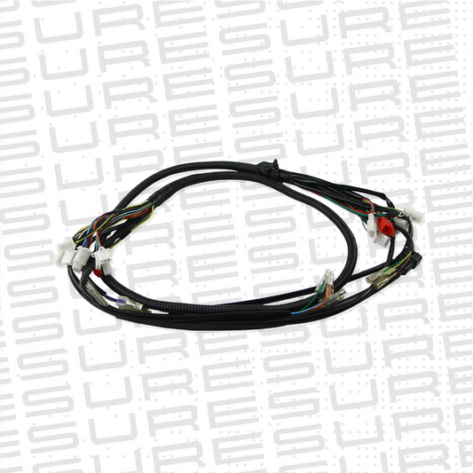 Main Wiring Harness