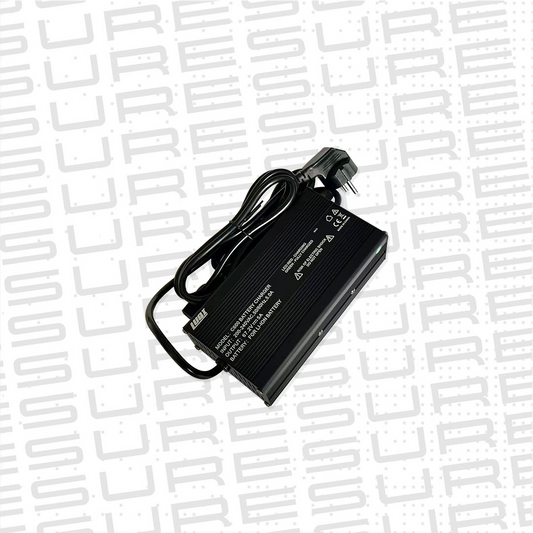 Smart Charger 67.2V5A